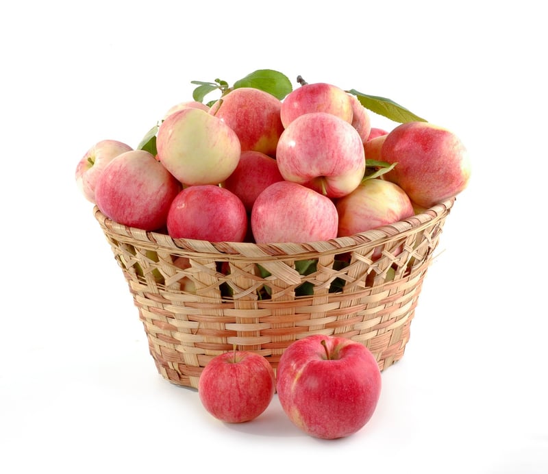 Farm Fresh Produce